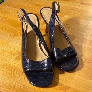 Ann Taylor Blue Slingback Heels with Medium Heel